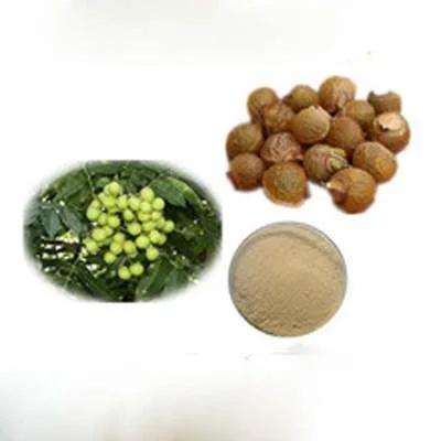 Is Soapnut Extract good for acne or other skin conditions?